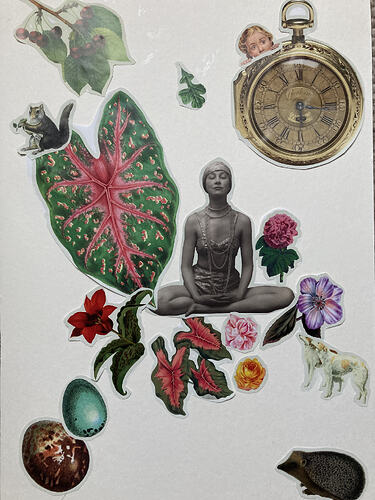 CLL collage