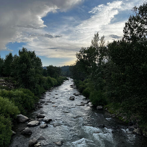 IMG0055