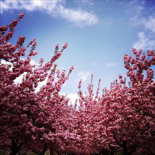 Evernote Camera Roll 20140506 165604